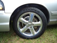 Coop03.jpg
