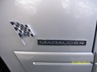 Fender badges.jpg