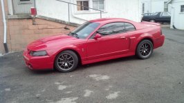04 cobra #4.jpg