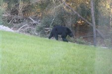 IMG_0626_1.jpg