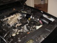 JLT with Modded Airbox 3.JPG