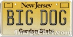 Big Dog Plate.jpg