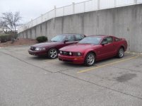 SDC10978.jpg