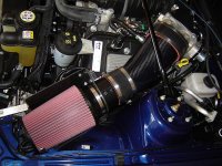 tn_07 Shelby 073.jpg