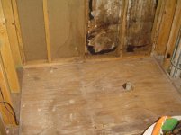 Shower Project 001.jpg