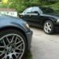 Cougar_Marauder