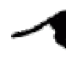 pantheroc